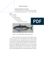 Ikan Cakalang PDF