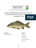 Studiul Unor Parametri Cantitativi Si Calitativi Ai Carnii Provenite de La Specia Cyprinus Carpio