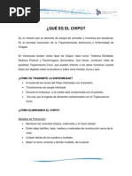 La Carta, tipos y Carácterísticas