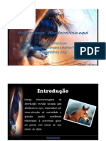 Rodococose- Rhodococcus Equi