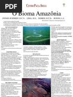 Poster Amazonia