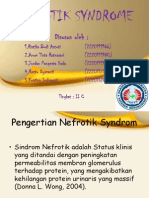 Nefrotik Syndrome