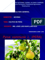 Cultivo Pera 1