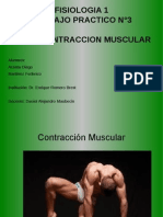 Contraccion Muscular