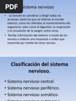 Sistema Nervioso Power