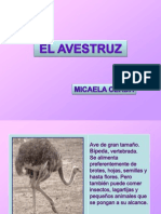 Avestruz Micaela