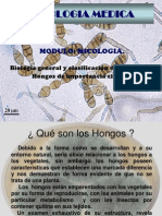 Micología médica: clasificación y morfología de hongos