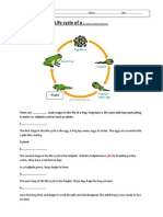 Life Cycle of A Frogexercise