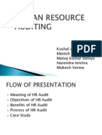 Human Resource Auditing