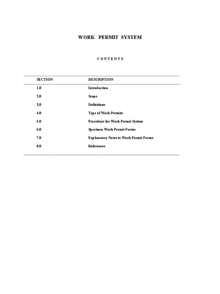 Work Permit System Overview | PDF