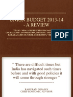 Budget Review 2013