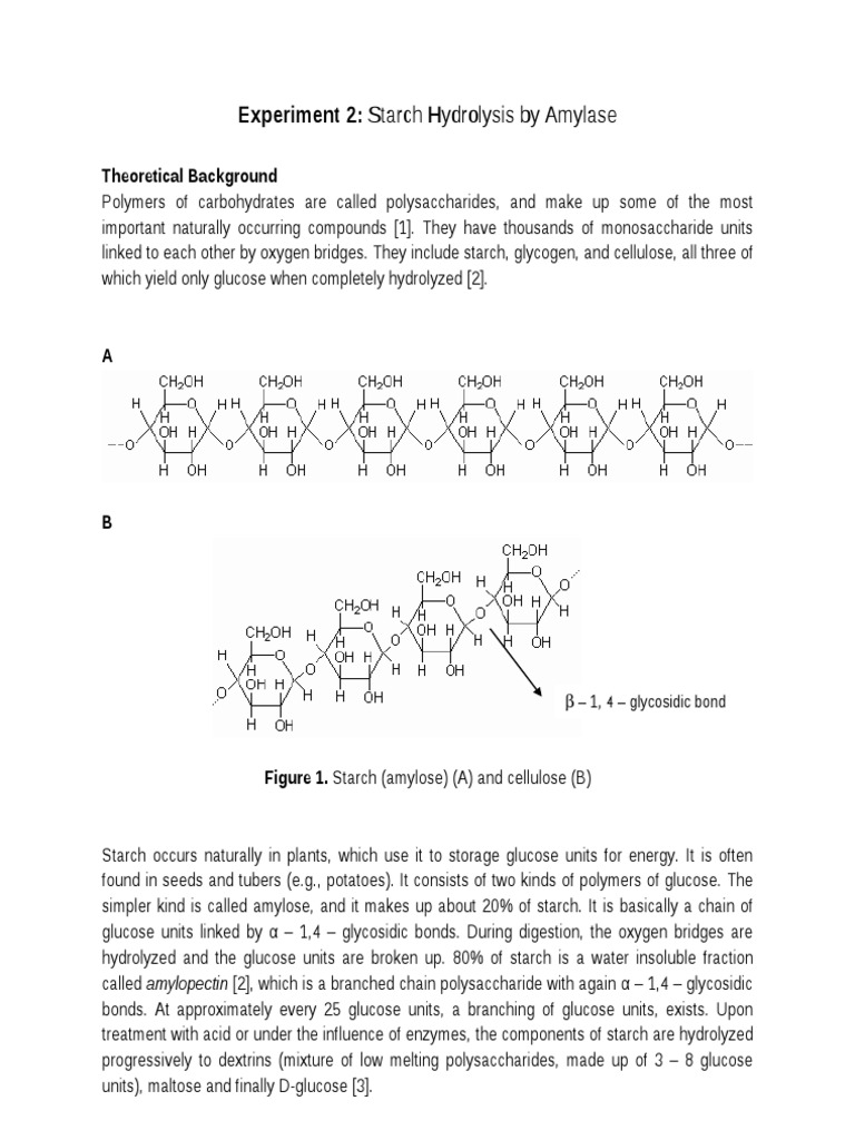 Amylase and Starch Hydrolysis Experiment | PDF | Glucose | Polysaccharide