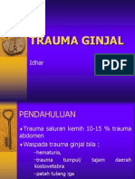 89465224 Trauma Ginjale