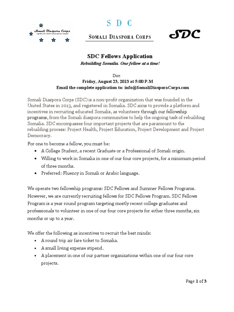 SDC Fellows Application | PDF | Career & Growth | Business