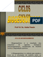 ciclos-biogeoquímicos