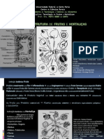Estrutura_Frutas_Hortaliças