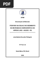 bom exemplo de trabalho.pdf
