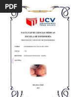 Determinantes de la Salud Según Marc Lalonde.docx