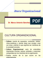 Cultura Organizac