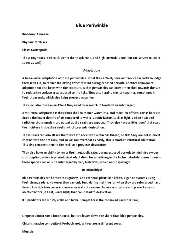 Blue paper company image