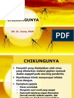 Cikungunya