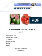 Concentrado de Guayaba y Tomate - Informe