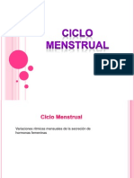 Ciclo Sexual Menstrual