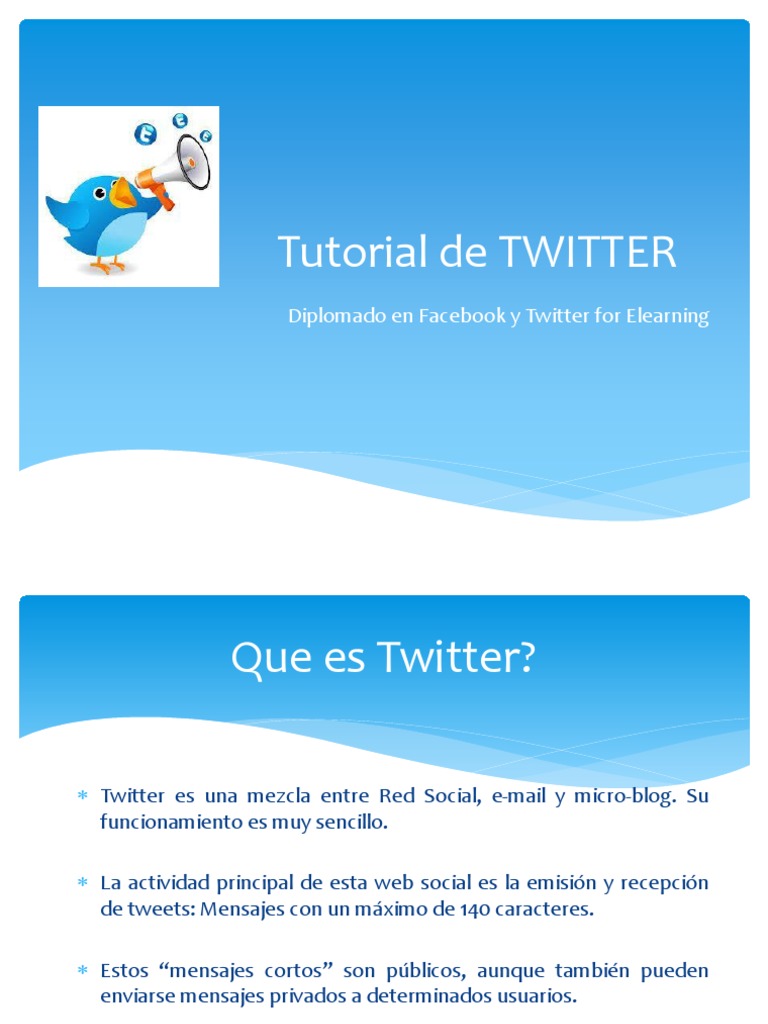 Tutorial de Twitter | PDF