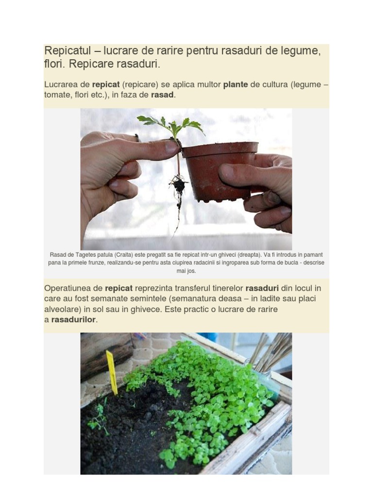 Repicare | PDF