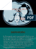 Anatomia de Torax