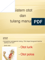 Sistem Otot Dan Tulang Manusia