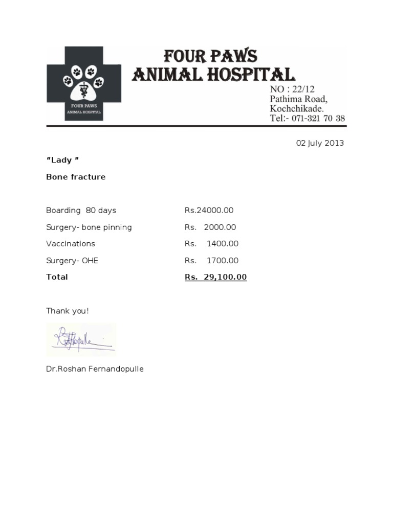Veterinary Care Invoice Summary | PDF