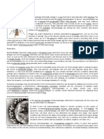 Bacteriophage (Definition, Parts and Function)