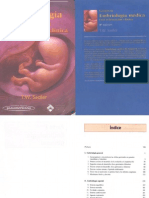 Embriologia - Langman 8 Ed