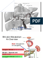 Jaundice pada Kasus Bedah Anak.pdf