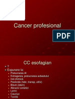 Cancer Profesional