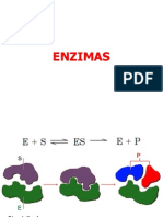 Tema 5 - Enzimas2