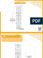 Unilever Sales Hierarchy