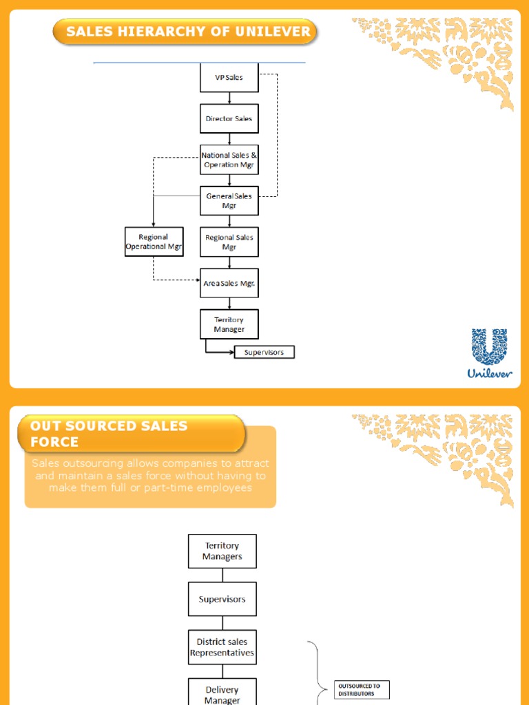 unilever sales hierarchy Revenue Pakistan