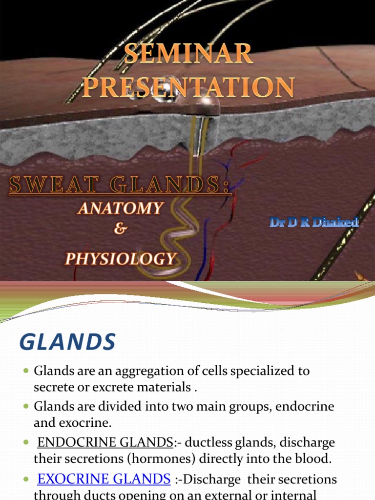 Sweat Glands Anatomy and Physiology Biology Diagrams