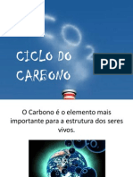 Ciclo Do Carbono