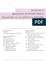 anatomie trunchi