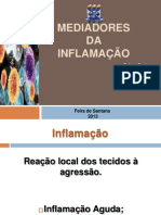 Mediadores Da Inflamação. Finalizado