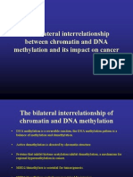 Chromatin DNA Methylation1