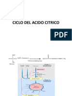 Ciclo de Krebs