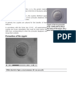 Zygote Identification - CPMA, Centre de Procréation Médical Assistée