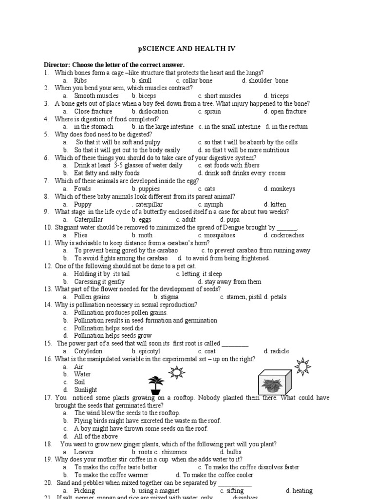 creative writing diagnostic test with answers