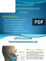 Articulacion Temporomandibular Diapositiva