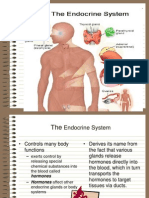 endocrine Final.ppt