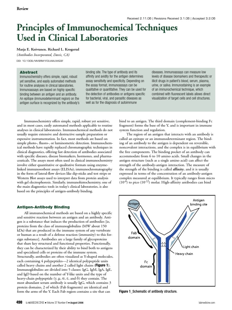 Immunochemical Methods in Cell and 洋書 Immunochemical